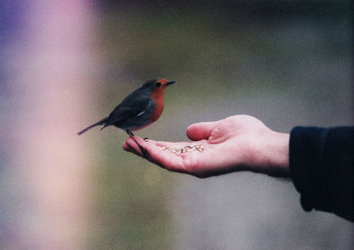 frejamlz:  (8) indie | Tumblr on We Heart It. https://weheartit.com/entry/62589734/via/JKluz