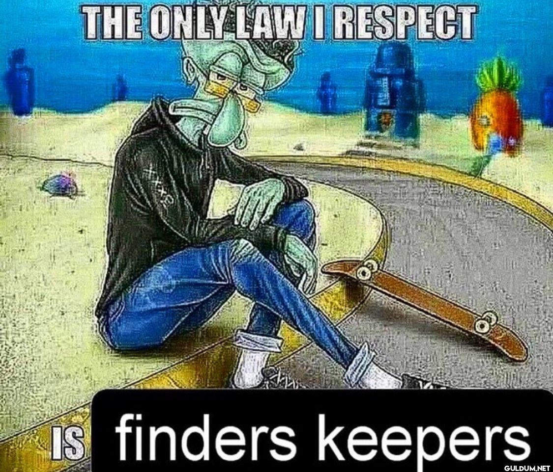 THE ONLY LAW I RESPECT...