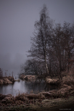 Tvoom:_Colder