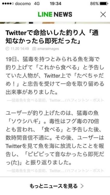 gkojax:  わっくん🐤さんのツイート: わずが29文字で人の命が助かる世界  それがTwitter https://t.co/aLBMBeXFip