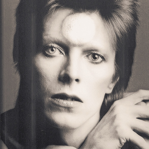 the-music-is-outside: ~ Ziggy played guitar ~