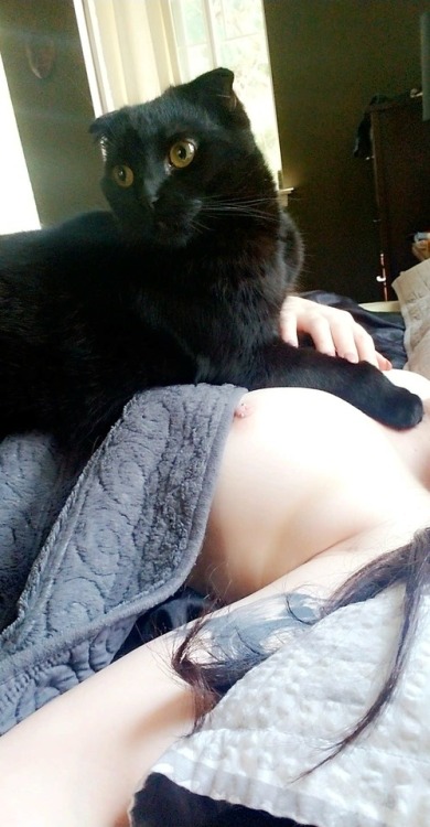 naughtylittlebookworm: Kitties and titties.