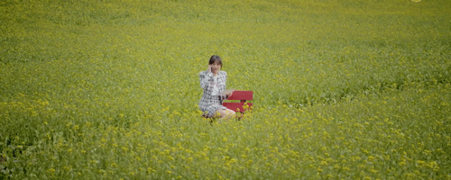 wok of love gif  기름진 멜로