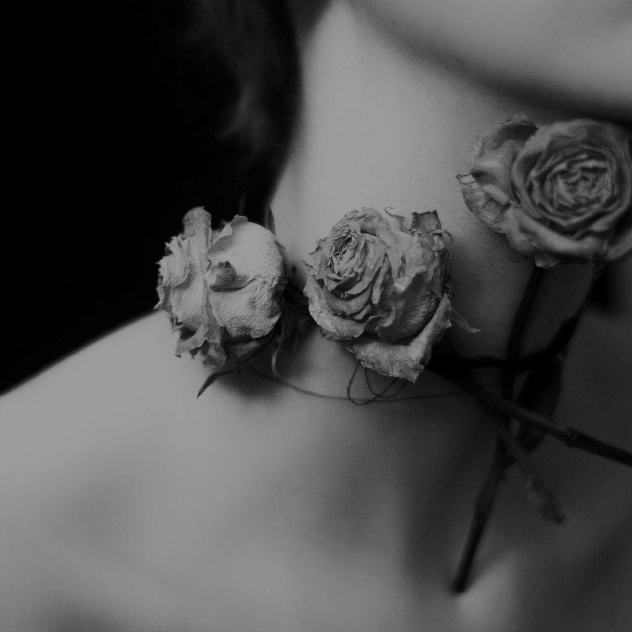 corpus-vertebrae:  https://www.facebook.com/corpus.vertebrae/ 