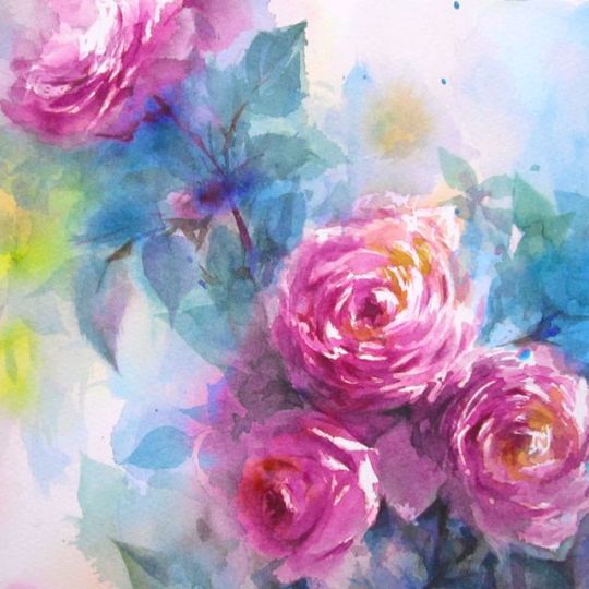 Rose Aug.08.2017 watercolor size:200*200mm paper:water ford white (細目・300g/m2)