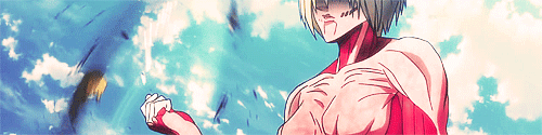 mikaelahyakuyu-blog:  The rise and fall of Annie Leonhardt 