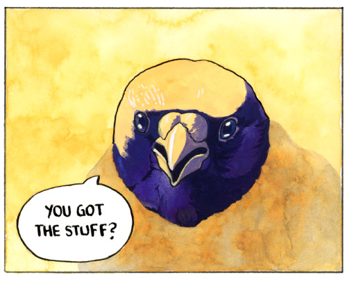 falseknees: The StuffStore / Patreon