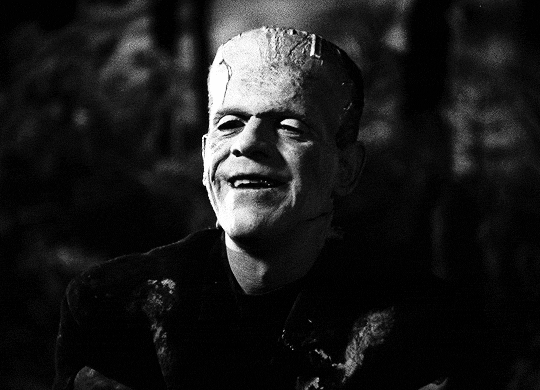 aclockworkfetish:  ohaladdins:   It’s a perfect night for mystery and horror. The air itself is filled with monsters.Bride of Frankenstein (1935) dir. James Whale  ⚙️