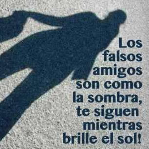 Imagenes de Amistad — Los falsos amigos son como la sombra, ¡te siguen...