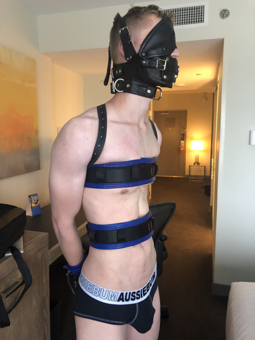 Sex slavebondageboys:Have a seat !! pictures