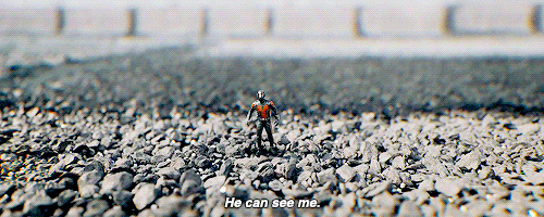 maxsrockatansky:Did he just say “hi I’m Scott”?