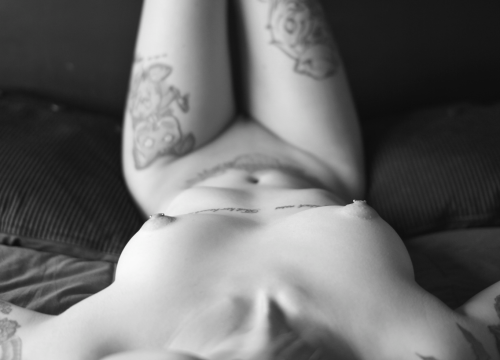 nobueno:  KattyFox