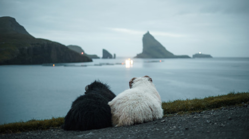 Porn Pics capturedphotos: Faroe Islands It wouldn’t