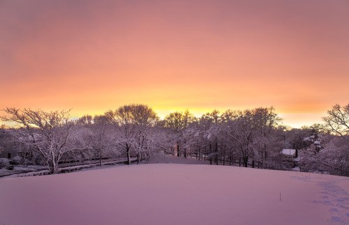 The blizzard brought us a gift. ^_^- Ali Photographywww.aliphotog.com