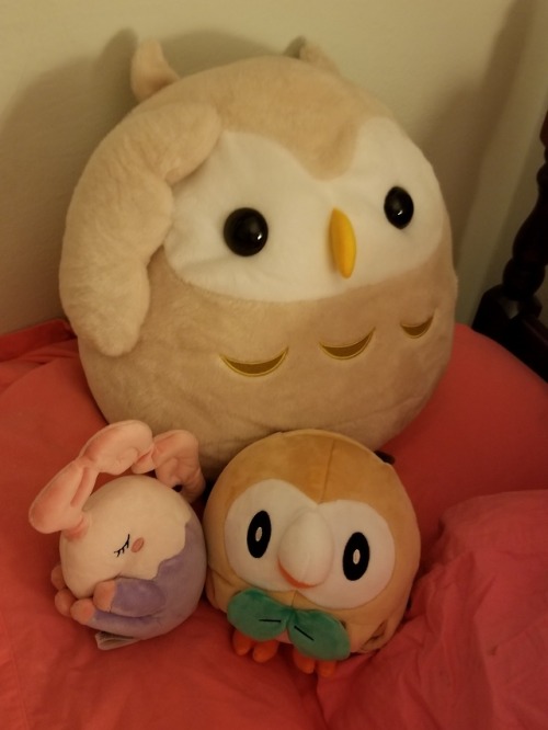 My plushie collection. Owls r cute