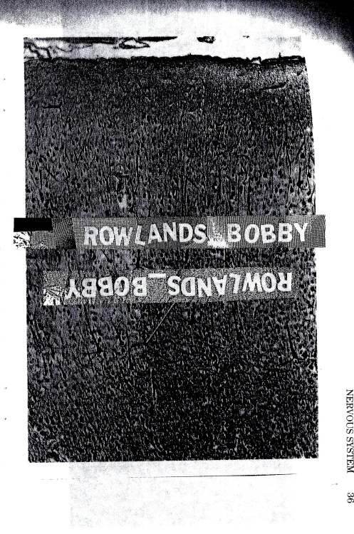 works i did for the Rowlands_Bobby zine “5alive” with Daniel Downing Jr. second pie