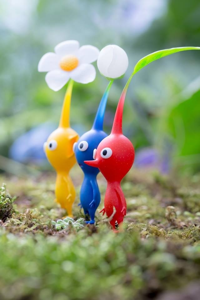lw28:  Aww so cute :) 