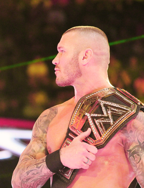 luchabrothers:  • 