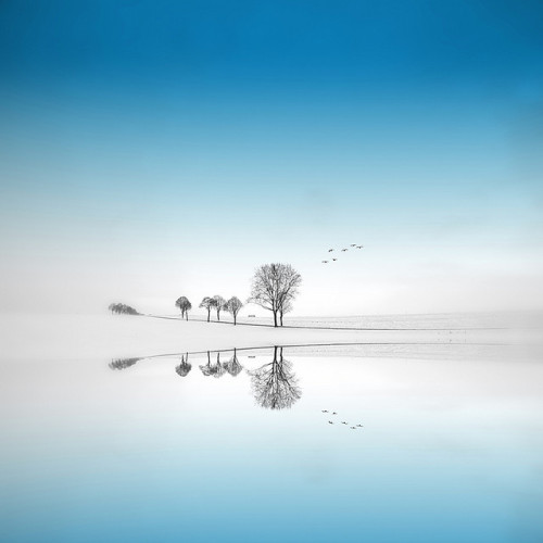 Blue Season by Philippe Sainte-Laudy on Flickr.