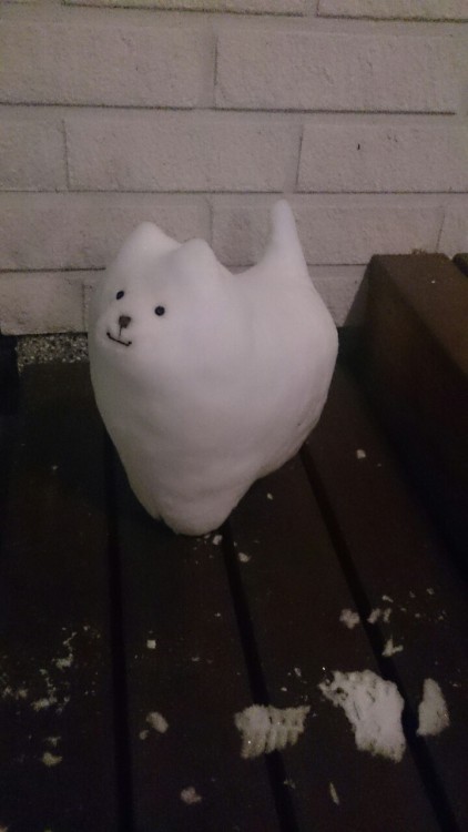 jempenger:  Annoying Snow Dog 