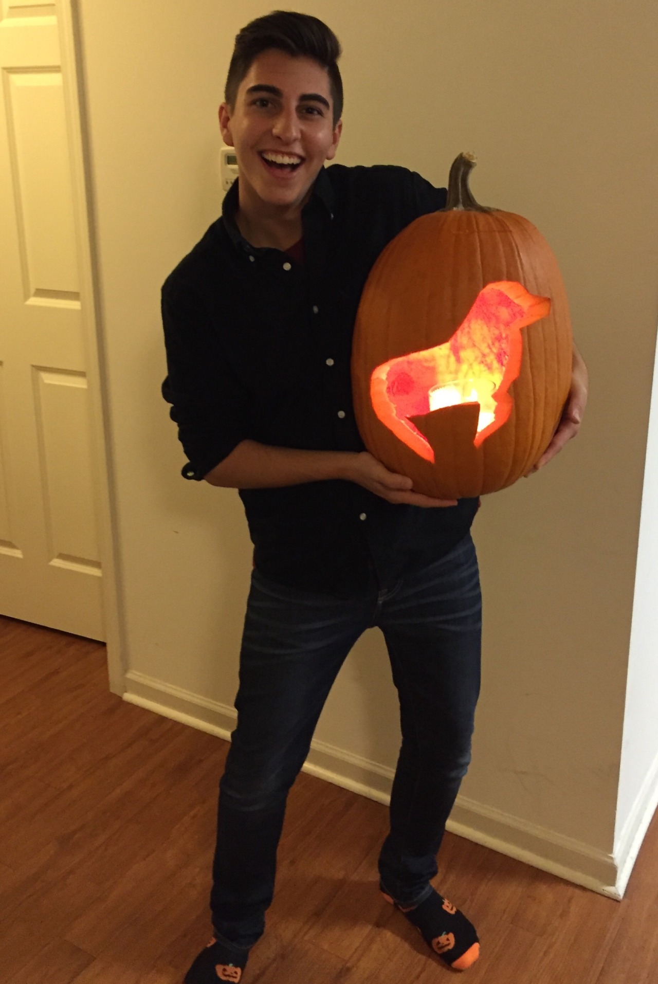 joohnnylovee:  Pumpkin seal ft. Pumpkin socks 🎃🎃 