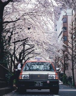 takashiyasui:  Everyday life in Tokyo