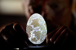 F1Rstperson:  Givemeinternet:  This Eggshell Has More Than 20,000 Holes Drilled In