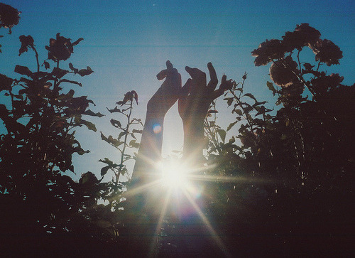 silva1996:  †SunshineFlowersHappiness❁ | via Tumblr on We Heart It. http://weheartit.com/entry/82868001