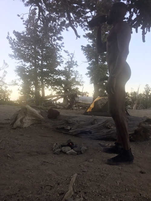 dirtyv3gas:  Into the Wild