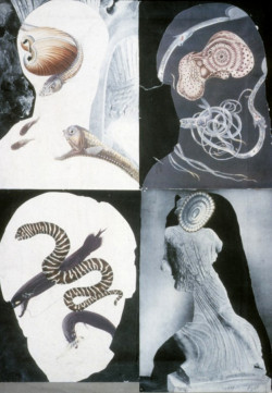 histocol:   Eileen Agar - “Marine collage”