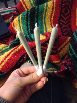 veraisastoner:  shroomsofdoom710:  three joints a day, keeps all the bullshit away  This looks so nice right now