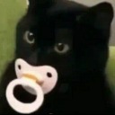 siawiki:This is so sad Alexa pass the blunt