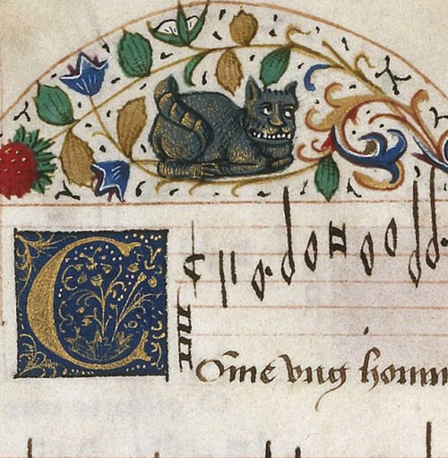 discardingimages: medieval Cheshire Cat Chansonnier de Jean de Montchenu, Savoy ca. 1475 BnF, Rothsc