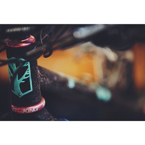 youcantbuyland:   kevinscottbatchelor’s photo on Instagraminstagram.com  The colour pops are excelle