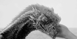 ariannsmartell:  Daenerys has taken up residence in Meereen. She has conquered the
