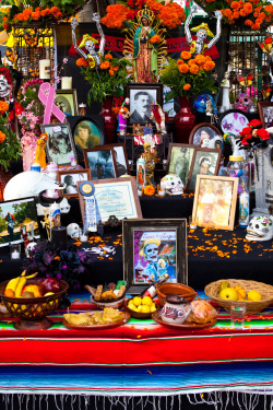 ejohnsonphotos:  Dia de los Muertos, Los