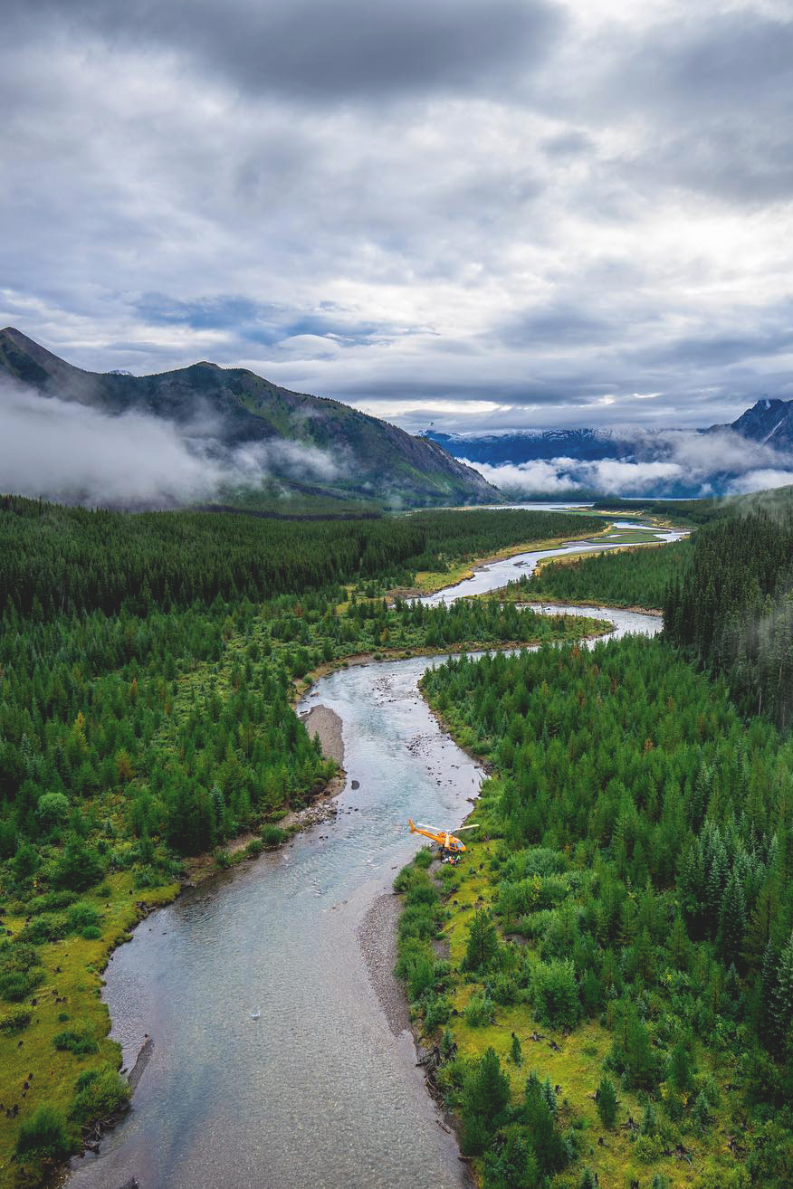 banshy:  Untitled // Andy Best  