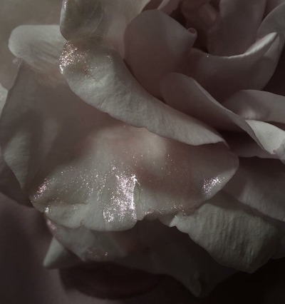 roseverie:MARCELLA; meaning dedicated to mars, strong and martial “A wild longing for strong emotions and sensations seethes in me […]”for @moonymphes 