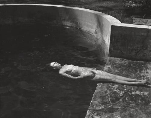 the–elusive–muse - Edward Weston - the greatest American...