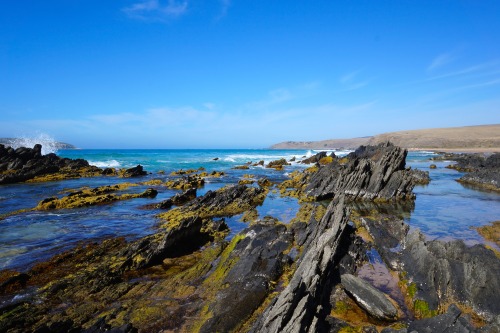 original-photographers:Kings Beach, Encounter Bay, South AustraliaJana Dunbar