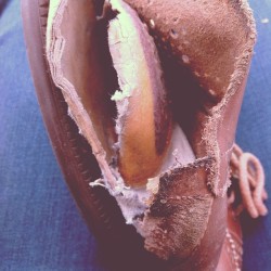 My vagina.
