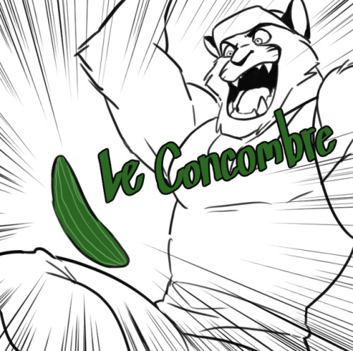 chirenblog:Don’t do this to your feline friends xD