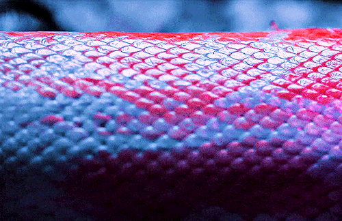 EXOMonster, 2016dir. VM Project Architecture
