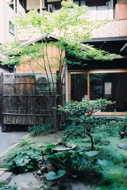 japanlove:  Kyoto (by 小狼)