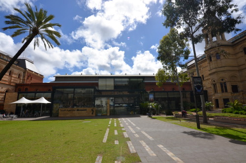 The South Australian Museum, Adelaide.