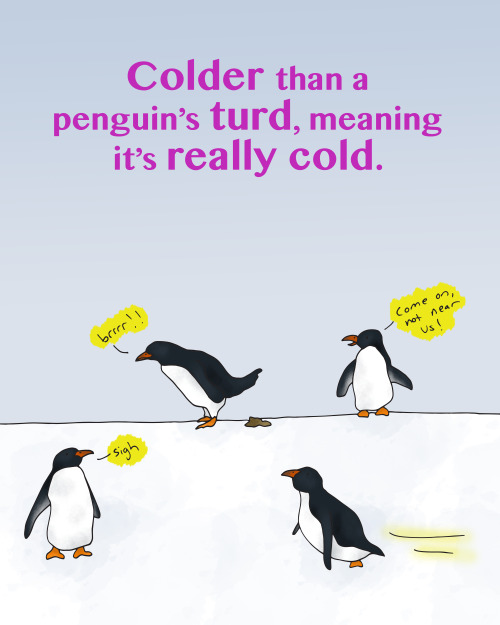 venezuelansayings:Más frío que mojón de pingüino.Translation: Colder than a penguin’s turd, meaning 