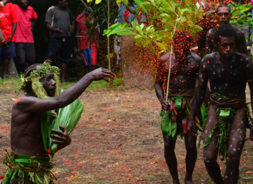     Vanuatu man, via Austronesian Expeditions    