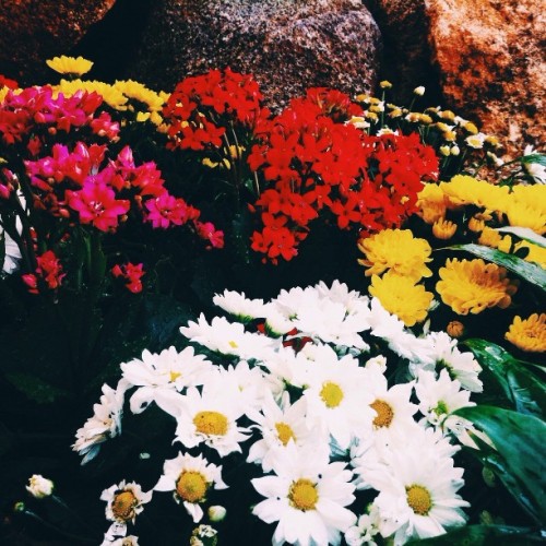 missdbarzinh0.tumblr.com/post/144232922670/