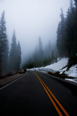 4nimalparty:  Cold ways (by .aditya.) 