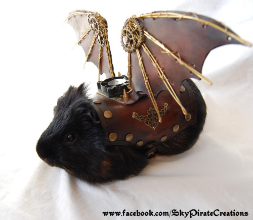 skypiratecreations:Ladies and Gentleman, i present you Pulguinha, the Steampunk Guinea Pig! He is th